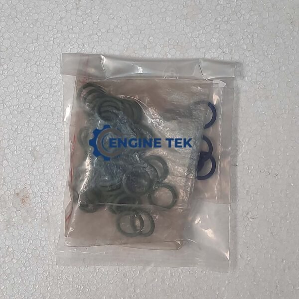 Sulzer S20 H O-ring (2103/B105)