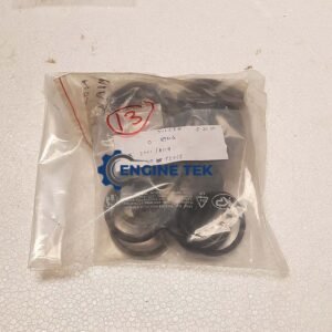 Sulzer S20H O-ring (2701/A119)
