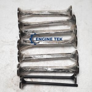 Man B&W 16/24 Exhaust Valve (k)