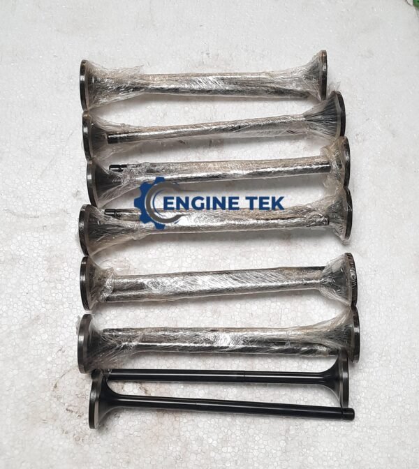 Man B&W 16/24 Exhaust Valve (k)
