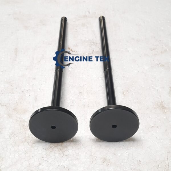 Man B&W 16/24 Exhaust Valve (k) - Image 2