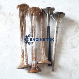 Daihatsu DL22 Exhaust valve (E-225850030Z)