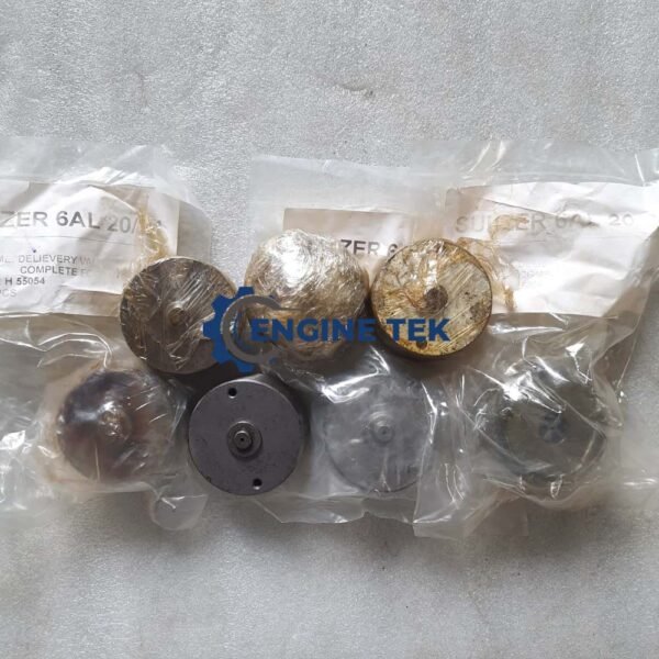 Sulzer 6AL20/24 (H55054) Delivery complete valve - Image 2