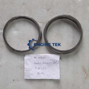 Sulzer 6AL20/24 (H81153) Gasket for manifold
