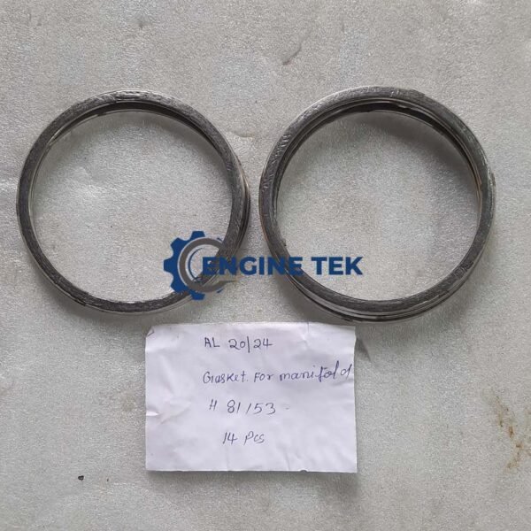Sulzer 6AL20/24 (H81153) Gasket for manifold