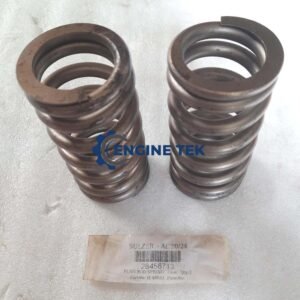 Sulzer 6AL20/24 (H40051) Push rod spring