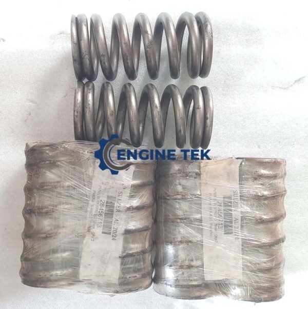 Sulzer 6AL20/24 (H40051) Push rod spring - Image 4