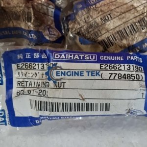 Daihatsu DL22 Retaining nut (E266213190Z)