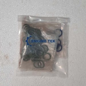 Sulzer S20 H O-ring (2103/B105)