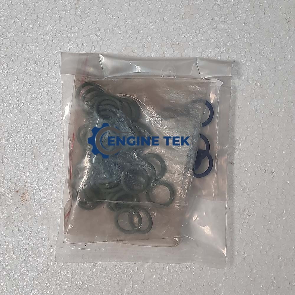 Sulzer S20 H O-ring (2103/B105)
