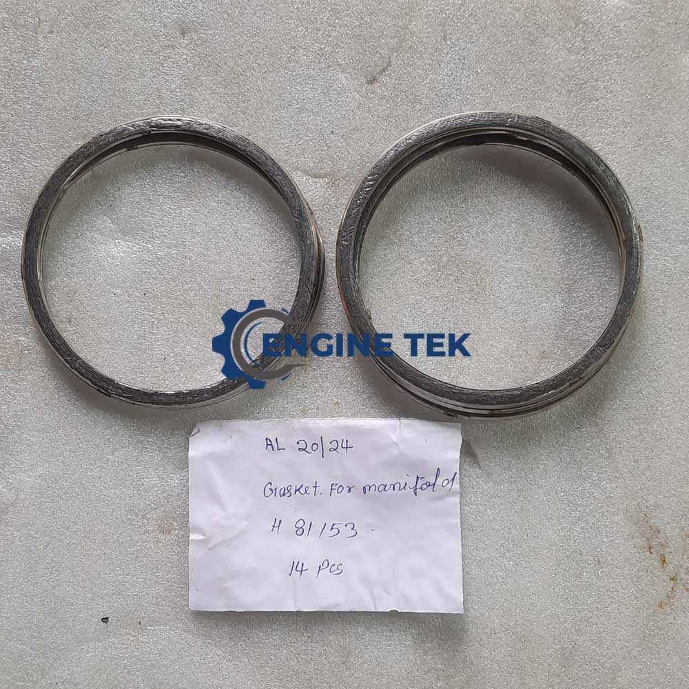 Sulzer 6AL20/24 (H81153) Gasket for manifold
