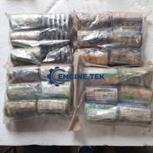 Daihatsu DL22 Spring plunger (E226450250Z)