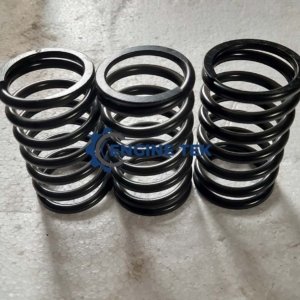 Daihatsu DL22 Spring plunger (E226450250Z)