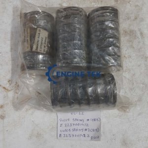 Daihatsu DL22 Valve spring (E225700142Z)