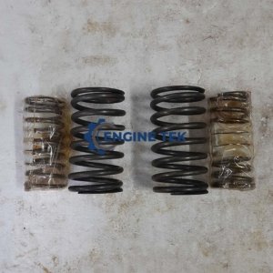 Daihatsu DL22 Valve spring (E225700142Z)