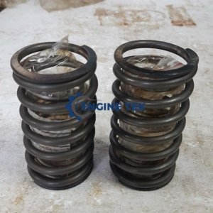 Daihatsu DL22 Valve spring (E225700142Z)