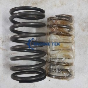 Daihatsu DL22 Valve spring (E225700142Z)
