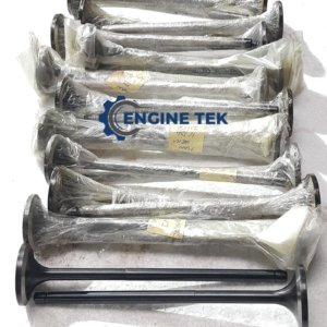 Man B&W 16/24 Intake Valve (K)