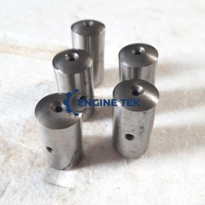 Daihatsu DL22 Pin tappet roller (E26600090Z)
