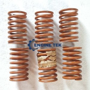 Daihatsu DL22 Tappet spring (E226700180Z)
