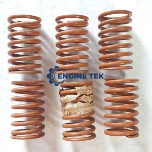Daihatsu DL22 Tappet spring (E226700180Z)