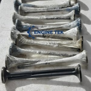Man B&W 16/24 Intake Valve (MHW)