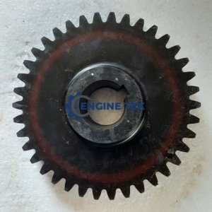 Daihatsu DL22 L.O pump driving gear (E23050010Z)