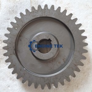 Daihatsu DL22 F.O Pump driving gear (E231350080Z)