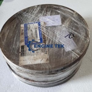 Daihatsu DL22 Gasket cylinder liner (E225050120A)