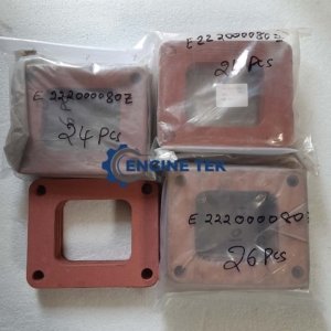 Daihatsu DL22 Intake manifold gasket (E222000080Z)