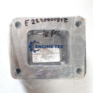 Daihatsu DL22 Intake manifold gasket (E222000080)