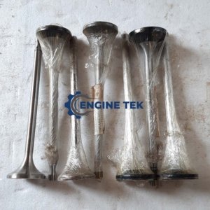 Daihatsu DL22 Intake valve (E-225750020A)
