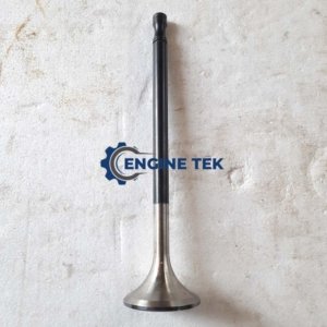 Daihatsu DL22 Exhaust valve (E-225850030Z)