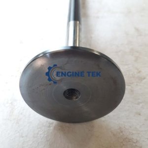 Daihatsu DL22 Exhaust valve (E-225850030Z)