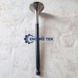 Daihatsu DL22 Exhaust valve (E-225850030Z)