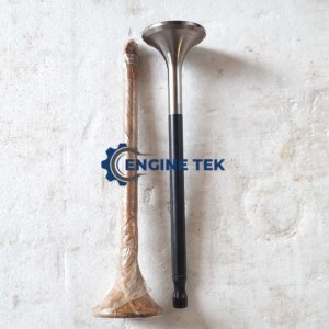 Daihatsu DL22 Exhaust valve (E-225850030Z)