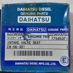 Daihatsu DL22 Intake valve (E-225650050Z)