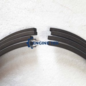 Daihatsu DL22 Piston ring (A579400912Z)